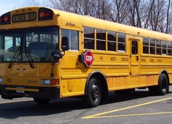 Normal_schoolbus